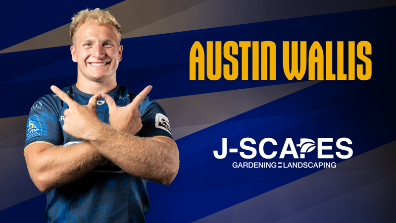 Austin Wallis